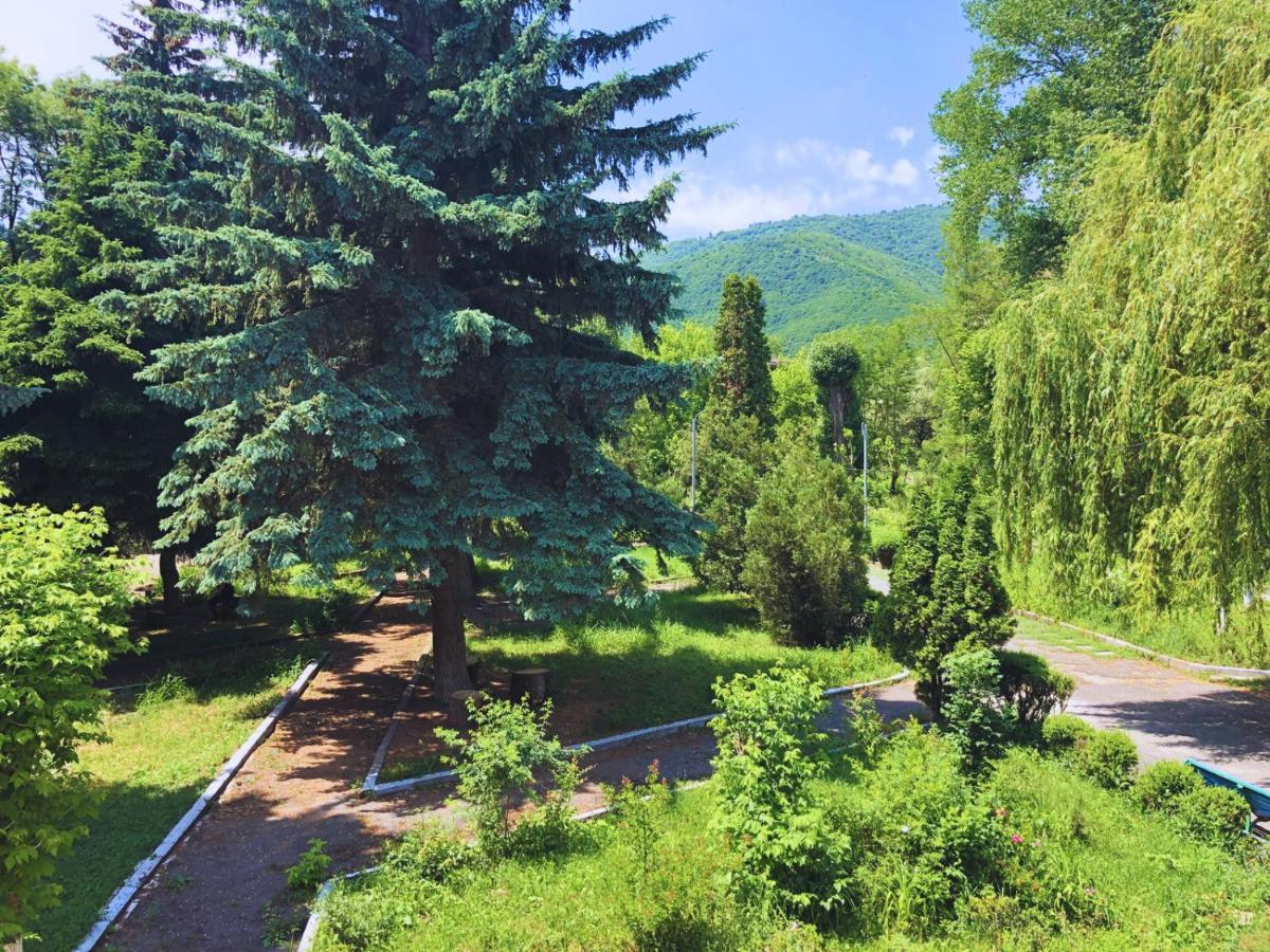 Vanadzor Armenia Health Resort & Hotel Extérieur photo